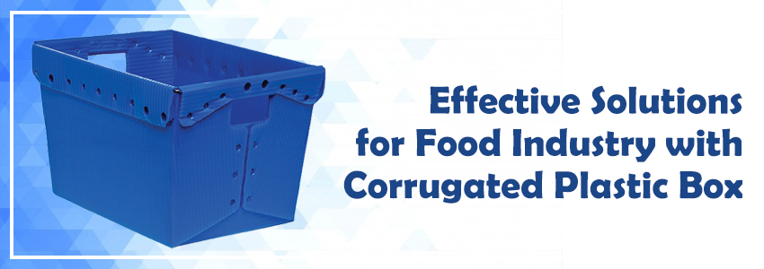 Effective Solutions for Food Industry with Corrugated Plastic Box